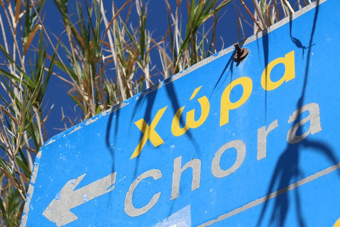 Private Tour: Mykonos Island in Half a Day - Little Venice and the Kato Milli windmills