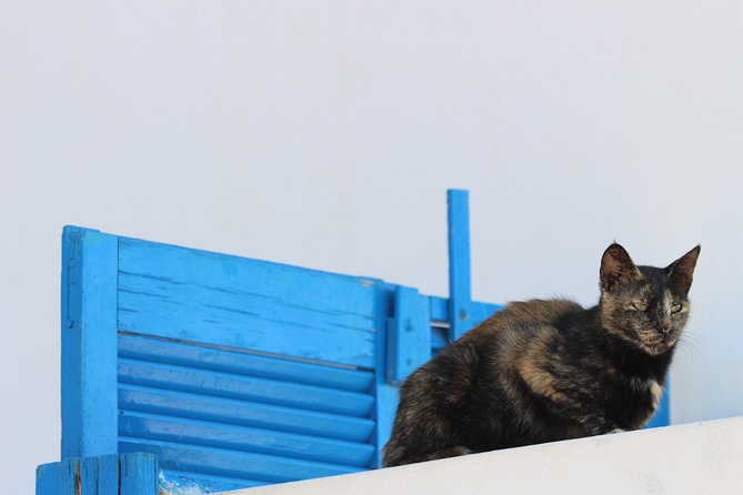 Private Tour: Mykonos Island in Half a Day - Paraportiani Church and the nearby beach