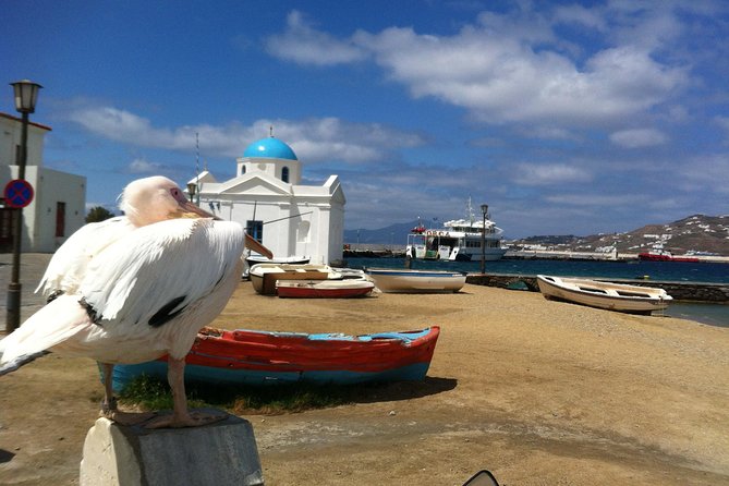 Private Tour: Mykonos Island in Half a Day - A private guide makes the route personal