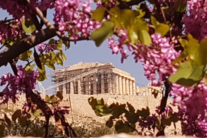 Private Trip Athens City's Landmarks. - The Temple of Olympian Zeus in a 20-minute stop