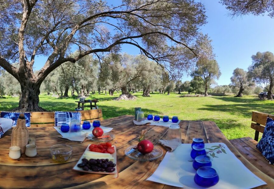 Rethymno: Olive Oil Tasting with Cretan Food Pairing - Learning how to taste olive oil