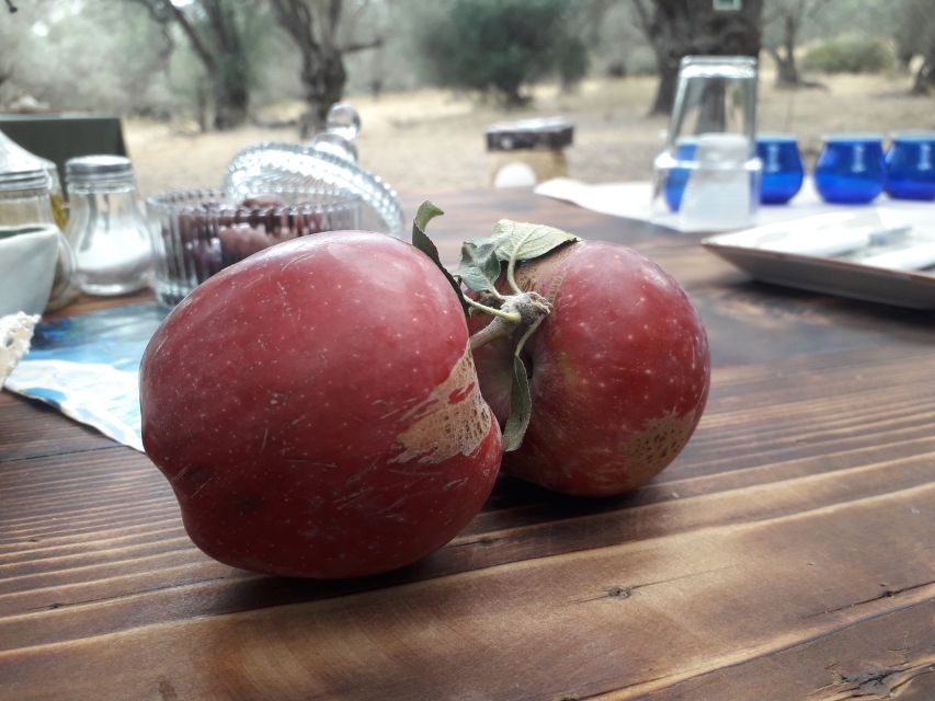 Rethymno: Olive Oil Tasting with Cretan Food Pairing - What makes the $107 price worthwhile