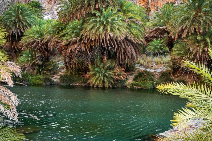 Rethymno: Preveli Beach Damnoni Beach Kourtaliotiko Day Trip - Preveli Beach is beautiful, but expect company