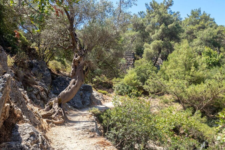 Rhodes: Butterfly Valley and Seven Springs Valley Day Trip - Timing, crowds, and the best season
