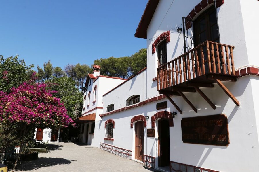 Rhodes: Butterfly Valley and Seven Springs Valley Day Trip - Food, water, and what to pack