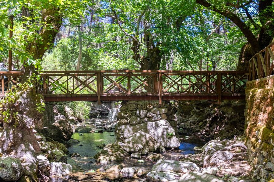 Rhodes: Butterfly Valley and Seven Springs Valley Day Trip - Who will enjoy this trip most?