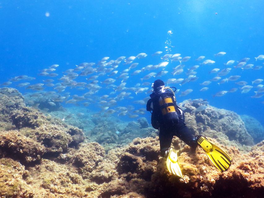 Rhodes: Diving Adventure for Beginners and Experts - Key points to know before booking