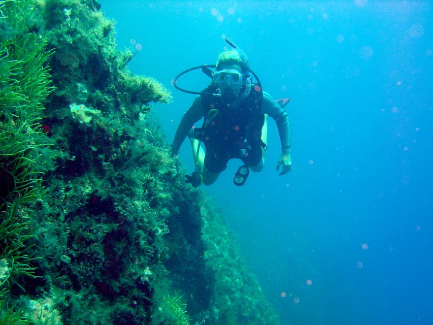 Rhodes: Diving Adventure for Beginners and Experts - Getting started at Waterhoppers in Rhodes