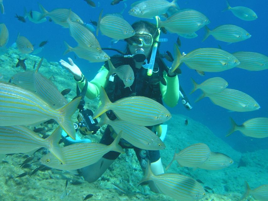 Rhodes: Diving Adventure for Beginners and Experts - Kalithea and the underwater setting