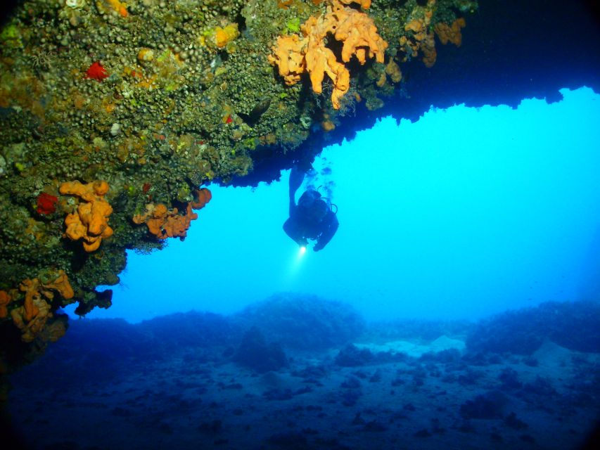 Rhodes: Diving Adventure for Beginners and Experts - Practical tips for a smoother day
