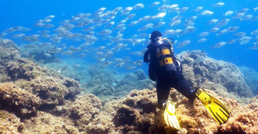Rhodes: Diving Adventure for Beginners and Experts - Breathing practice before the boat or shore session