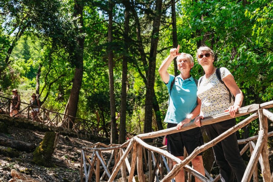 Rhodes: Filerimos Hill and Butterfly Valley Bus Trip - What the $31 covers, and what it does not