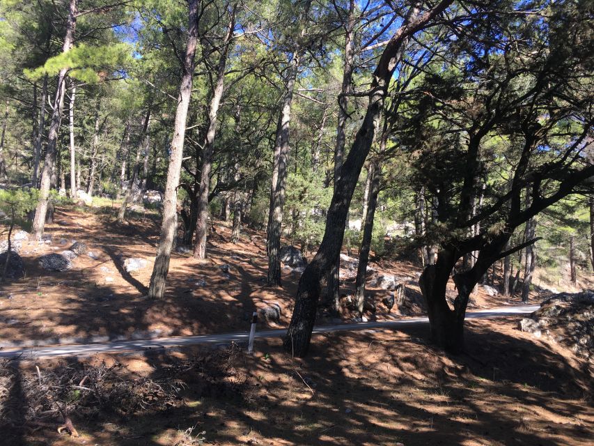 Rhodes: Full–Day 4WD Northern Safari Tour - Why this 4x4 route shows you a different Rhodes