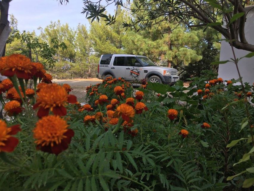 Rhodes: Full–Day 4WD Northern Safari Tour - The long crossing to Kritinia