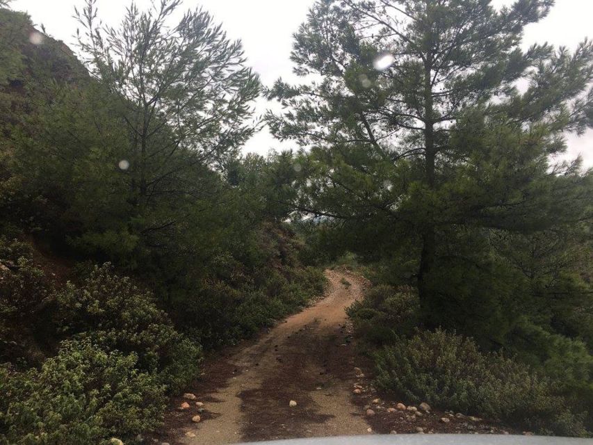 Rhodes: Full–Day 4WD Northern Safari Tour - The guides make or break a day like this