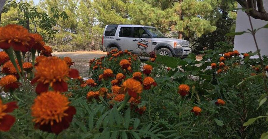 Rhodes: Full–Day 4WD Northern Safari Tour - Lunch, comfort, and the return road