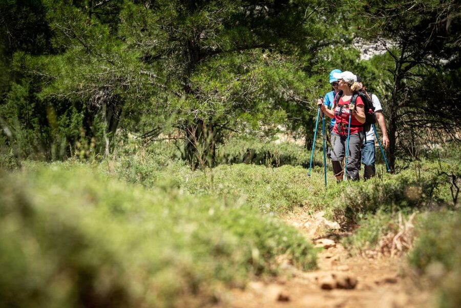 Rhodes: Hiking Tour to the Summit of Akramitis with Photos - Who should book this Akramitis hike