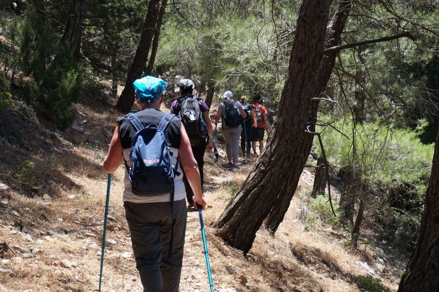 Rhodes: Hiking Tour to the Summit of Akramitis with Photos - Why Akramitis is worth your walking shoes
