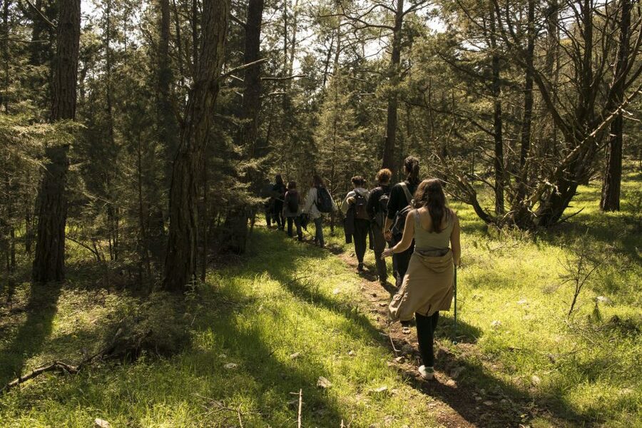 Rhodes: Hiking Tour to the Summit of Akramitis with Photos - St John’s Chapel and a Greek pie break