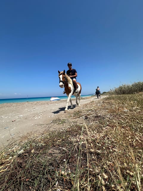 Rhodes: Horseback Riding Trip with Digital Photos - What the 75-minute route feels like