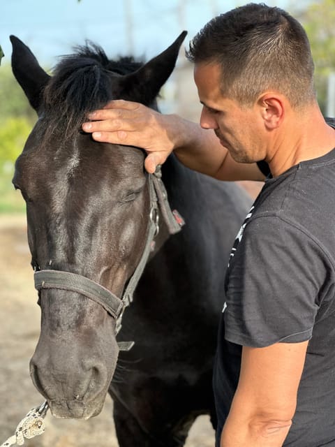 Rhodes: Horseback Riding Trip with Digital Photos - Beginner riders are welcome