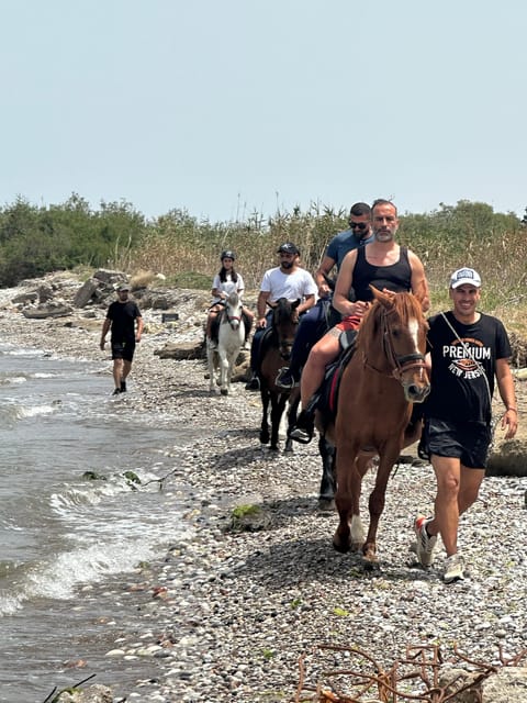 Rhodes: Horseback Riding Trip with Digital Photos - The horses are part of the appeal