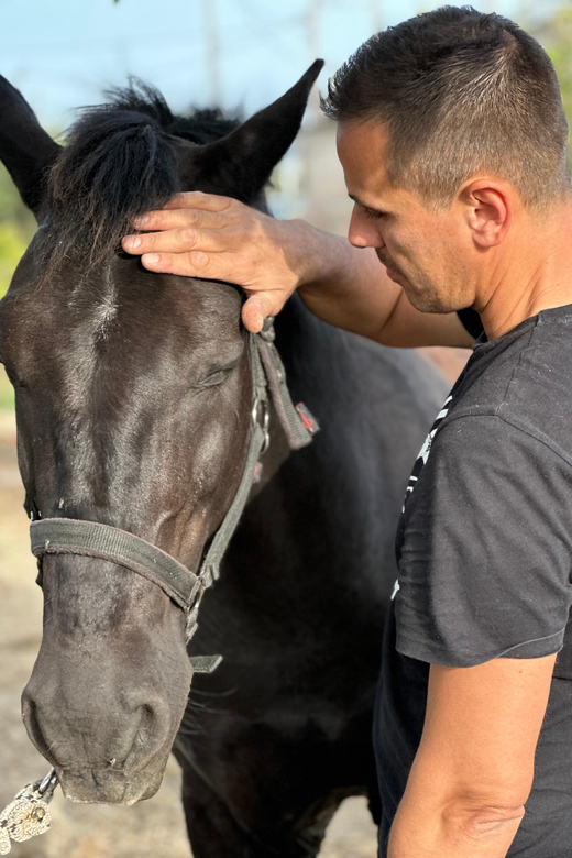 Rhodes: Horseback Riding Trip with Digital Photos - How much value do you get for $90?