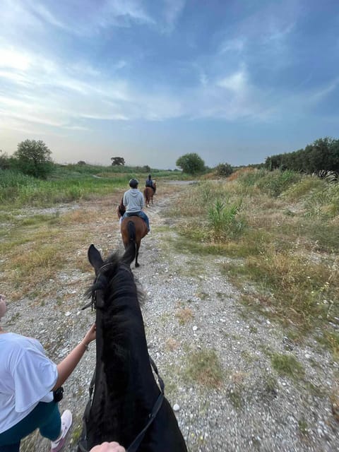 Rhodes: Horseback Riding Trip with Digital Photos - What to wear and what to leave behind