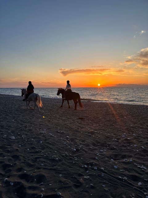 Rhodes: Horseback Riding Trip with Digital Photos - Morning countryside or sunset beach?