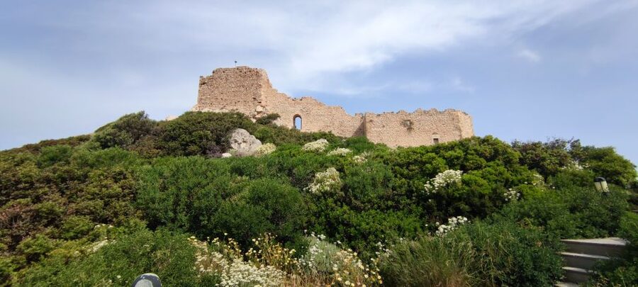 Rhodes: Kamiros, Embona, Mt. Profitis Ilias & Kallithea Tour - The minibus, guide, and pace
