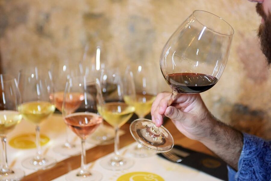 Rhodes: Private Wine Tasting Experience for Beginners - Who will get the most from this experience