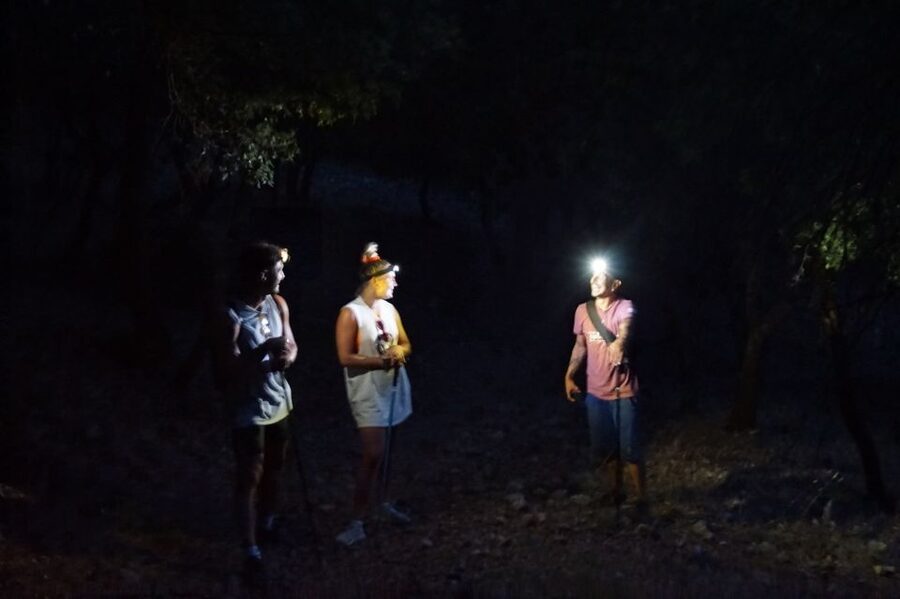 Rhodes: Profitis Ilias Guided Sunset Hike - The 1.5-hour ascent through the trees