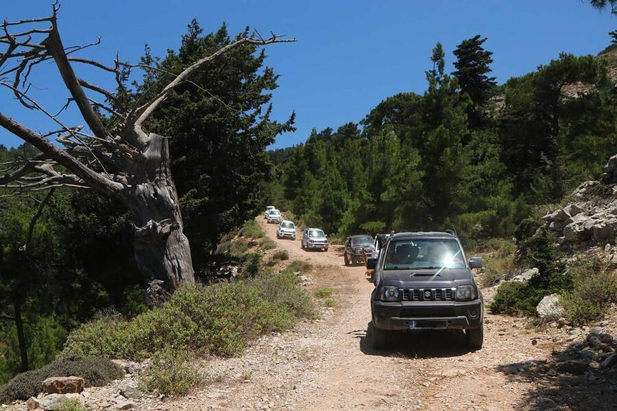 Rhodes: Self-Drive 4x4 Safari Tour with North Pickup - Key points before you book