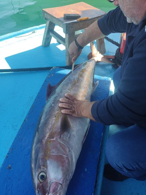 Rhodes Town: Fishing Boat Trip with Fish Meal and Swim Stops - Fresh fish, Greek salad, and a barbecue on the water
