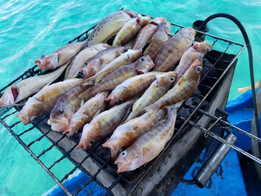 Rhodes Town: Fishing Boat Trip with Fish Meal and Swim Stops - A quiet cove for swimming and snorkeling
