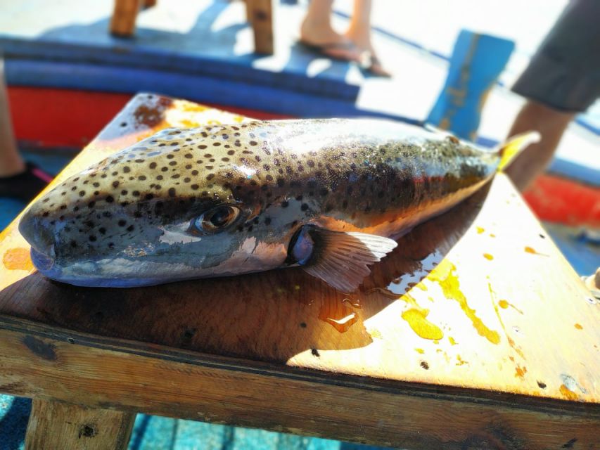 Rhodes Town: Fishing Boat Trip with Fish Meal and Swim Stops - Learning to fish, even if you have never held a rod