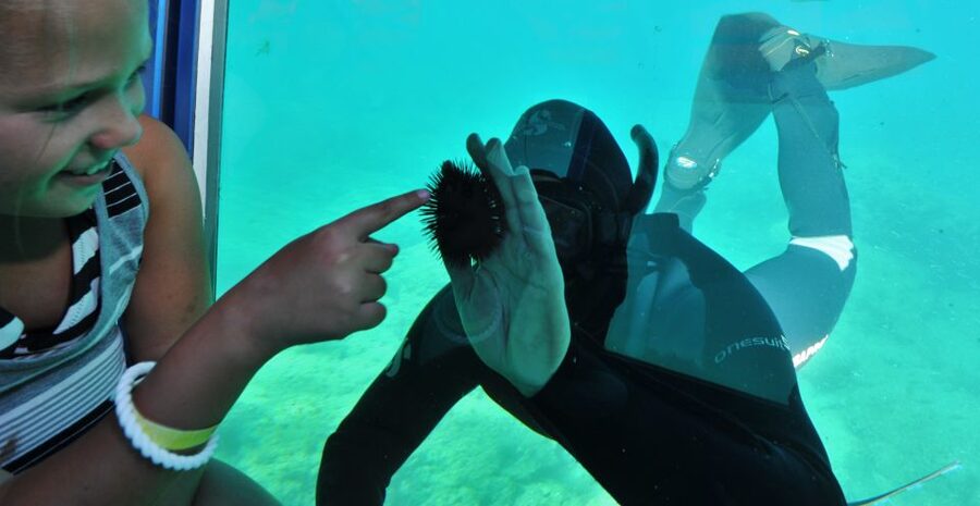 Rhodes Town: Yellow Submarine Cruise with Underwater Views - Key points to know before you book