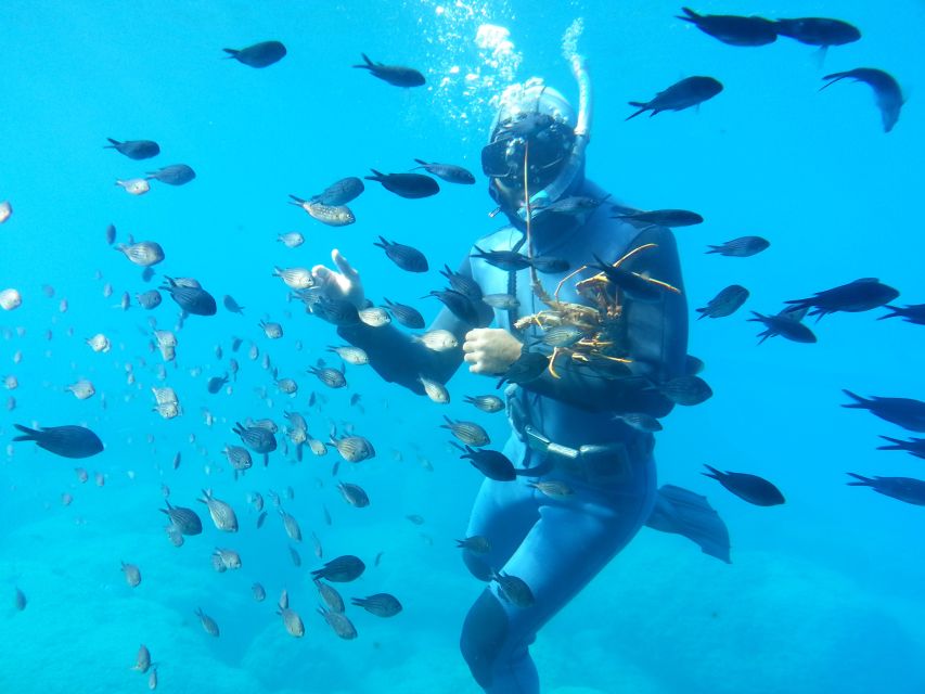 Rhodes Town: Yellow Submarine Cruise with Underwater Views - Mandraki Harbour and the first sea views
