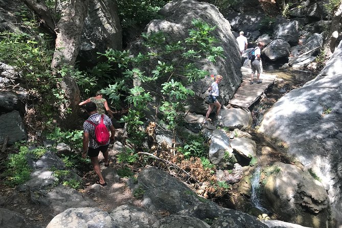Richtis Waterfall, History, Azoria, OliveTasting, NorthCoast - Walking into Richtis Gorge and swimming at the waterfall