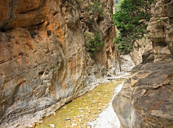 Samaria Gorge Hiking from Chania with Professional Hiking Guide - What the $51.89 price really covers