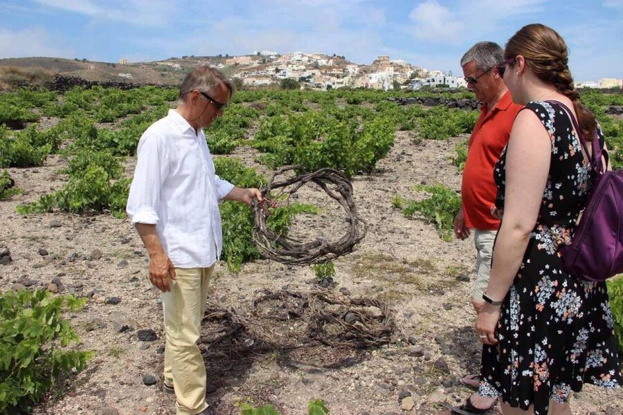 Santorini: 5-Hour Private Wine Tour - Santo Wines: the big caldera view