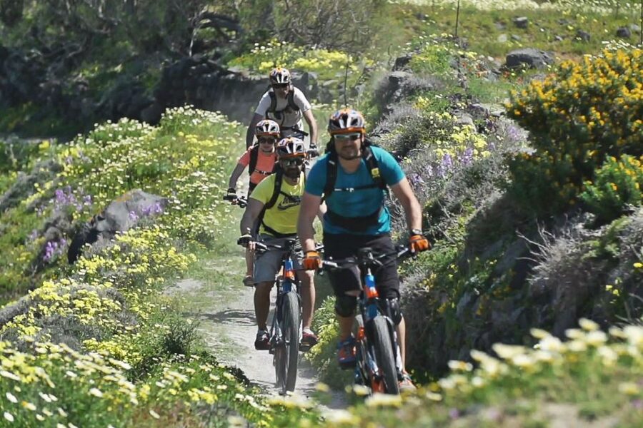 Santorini: Electric Mountain Bike Adventure - Is $141 a fair price?