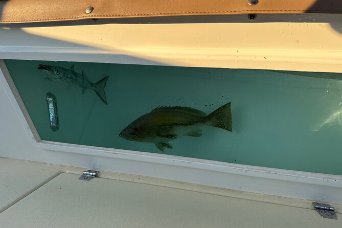 Santorini Fishing Private Cruise boat tour - BBQ, Snorkeling - Is $514.18 per person a fair price?