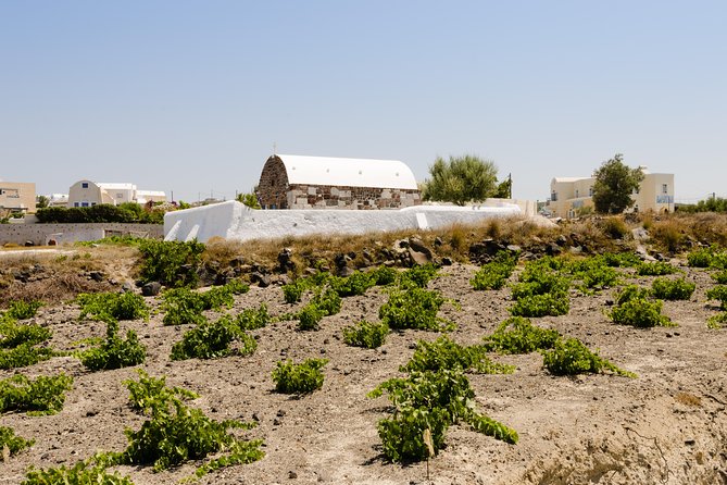 Santorini Highlights and Venetian Castles Small-Group Day Tour - Emporio reveals Santorini’s best-preserved castle lanes