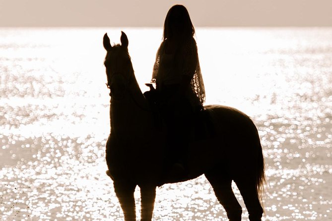 Santorini: Horse Riding to the Black Sandy Beach (Eros beach) - From Megalochori vineyards to volcanic ravines