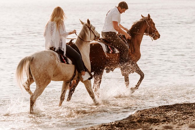 Santorini: Horse Riding to the Black Sandy Beach (Eros beach) - The horses and the riding style