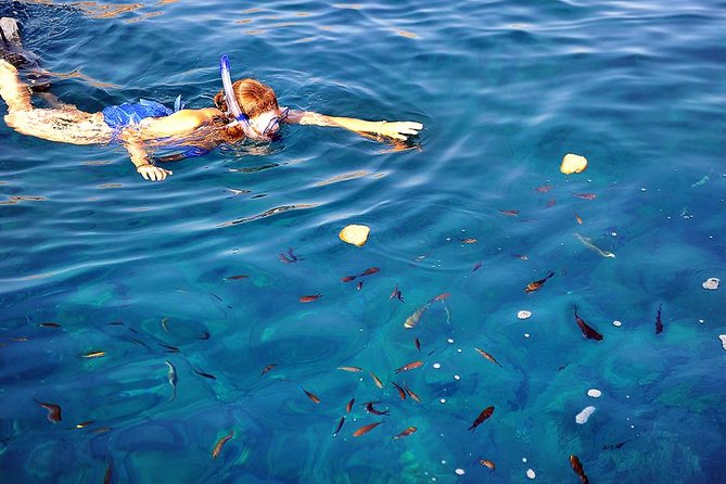 Santorini Luxury Catamaran Sunset Cruise with BBQ, Drink and Transfer - Is $157.28 a fair price?