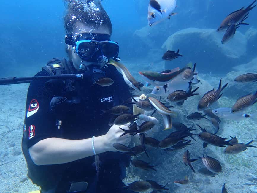 Santorini: Scuba Diving - Key points to know before booking