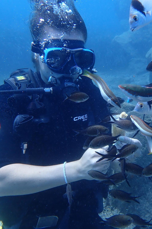 Santorini: Scuba Diving - A personal instructor stays with you