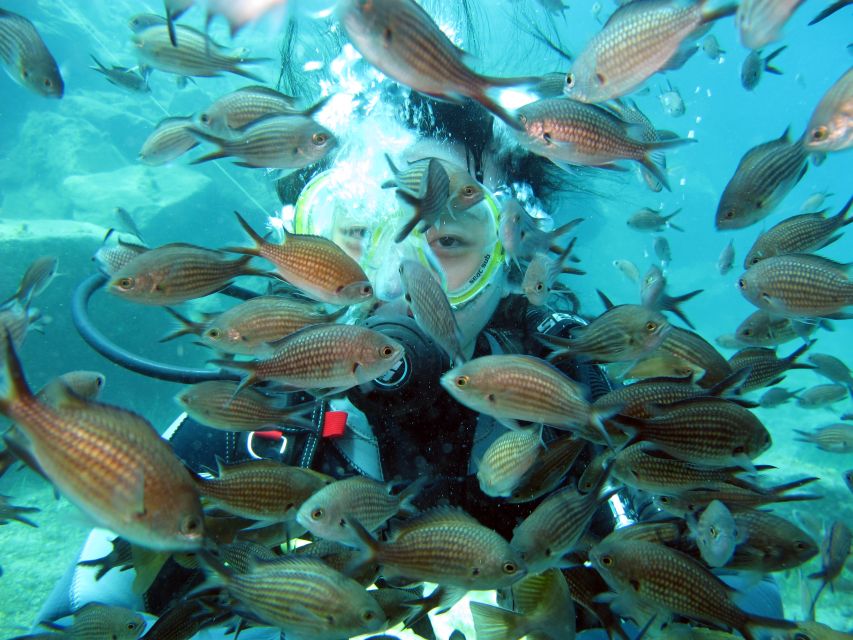 Santorini: Scuba Diving Experience for Beginners - What the $147 price really covers